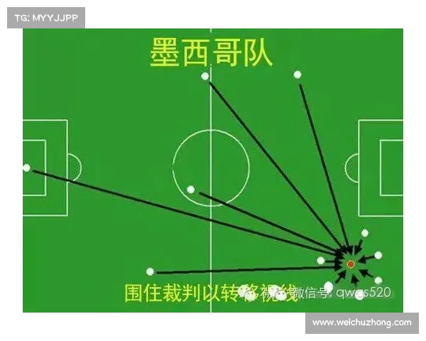 张德培团队比赛策略分析与战术运用探讨